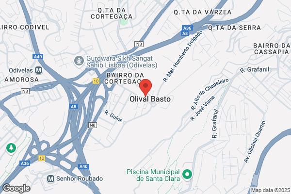 Cabeleireiro Rosa Shock