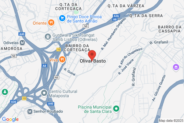 Tosquias e Banhos - Moda de Cão