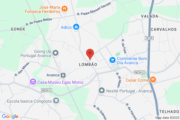 António M Martins Maia