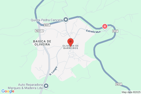 Salàde Cabeleireira Baby