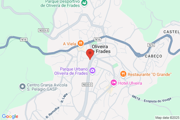 Florista Flor De Oliveira