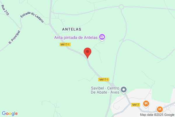 Quintagel-Comércio De Produtos Alimentares Lda
