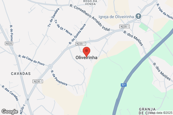 F Gonlves De Oliveira