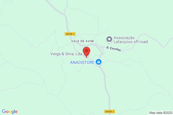 Virgéa C N R Silva Veiga