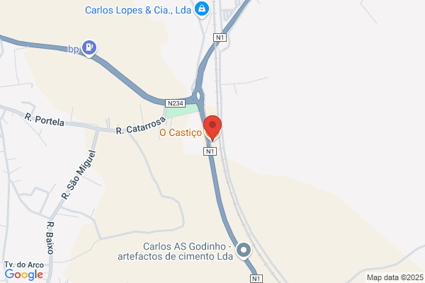 António C S Dinis Melo