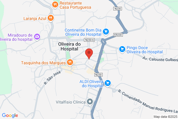 Dulce P Oliveira Campos