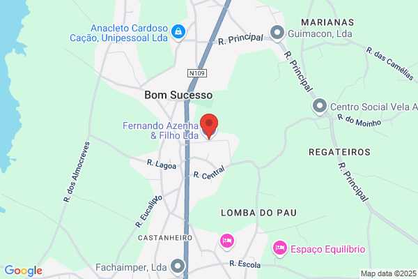 Fernando Jose Teixeira Barros & Filhos. Lda