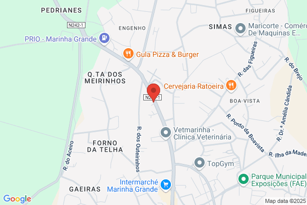 Joaquim P Neves Monteiro