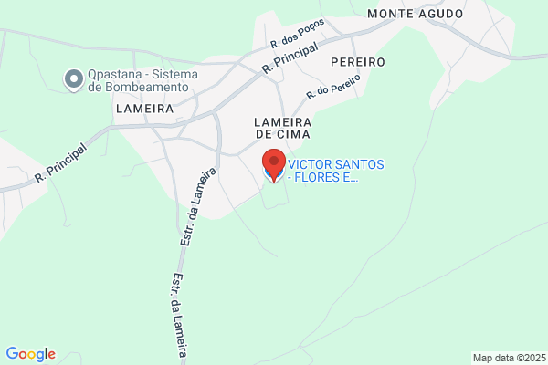 Pontes. Santos & Santos. Lda