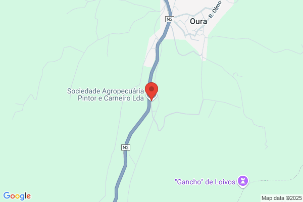 Sociedade Agropecuária Pintor & Carneiro Lda