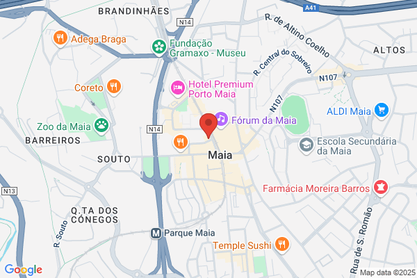 Palmira I Ribeiro Maia