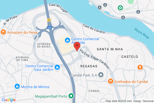 A S N-Auto Suspensåes Do Norte. Lda