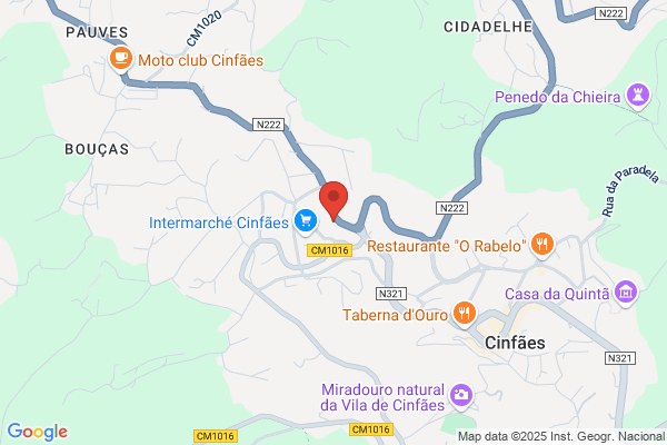 Município De Cinfães