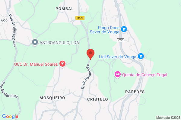 Fima M Rodrigues Salvador