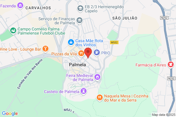 Ana P Teixeira Constantino