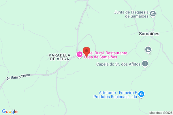 Carmelina E Borges Azevedo
