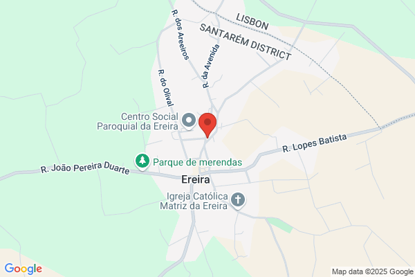 Jardim De Infãia A Crian`lda