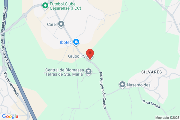 P S C-Prestaiao De Serviios. Lda