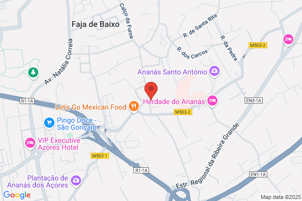 Alfacom-Sistemas De Informaiao. Lda
