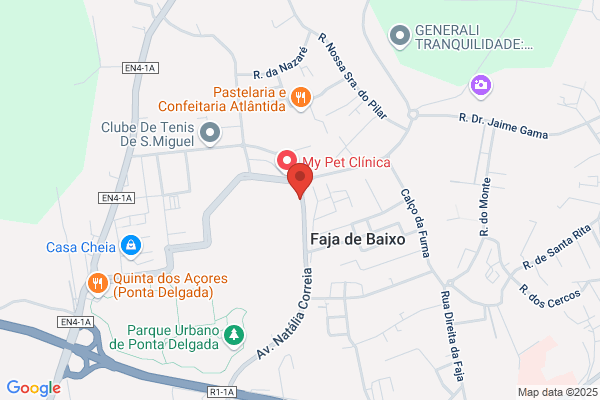 Associaiao De Futebol De Ponta Delgada