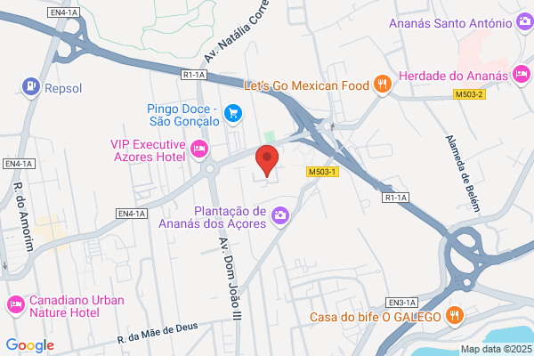 Henrique Dandrade Machado Soares