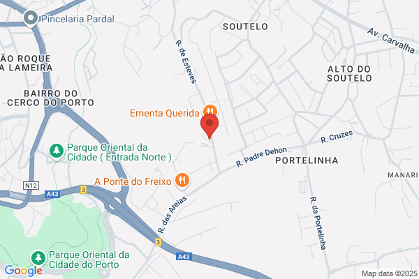 Eduardo A Teixeira Portela