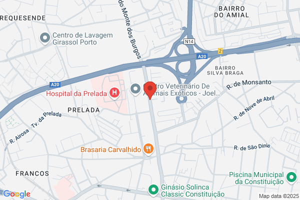 Lar De Monte Dos Burgos