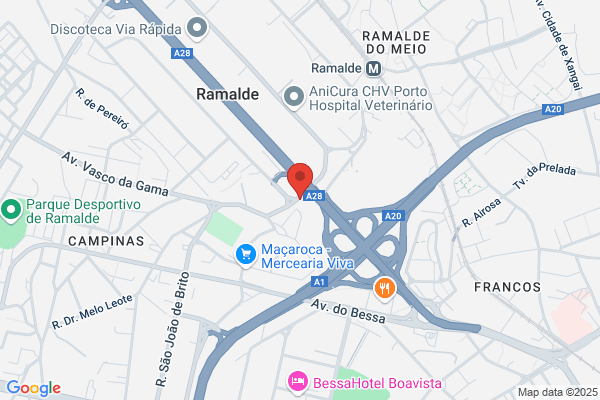 Hern ni Duarte. Leite De Assuniao. Santos Silva-Socied revisores oficiais contas