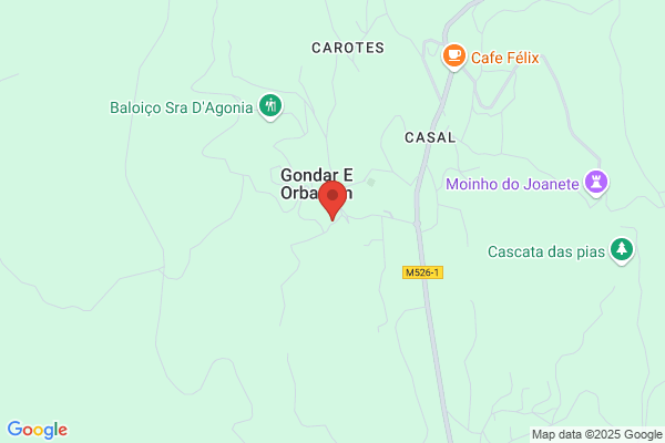 Manuel C Gonlves Viana