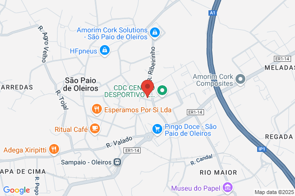 J Paulo Ribeiro Silva