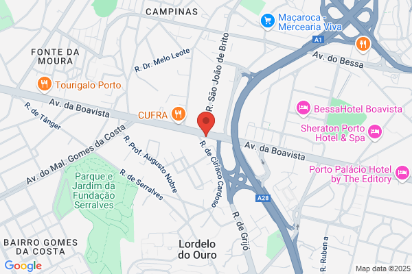 Canedo & Canedo Lda