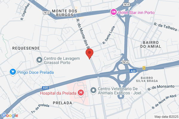 Centro Hepico Do Sport Clube Do Porto