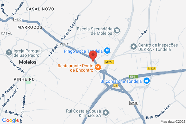 Henrique Fernando Tondela Cruz