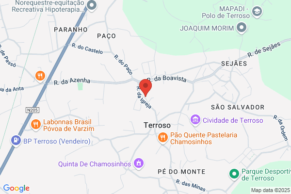 Pïco De Terroso