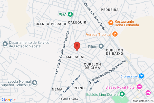 C M V-Consultores. Lda