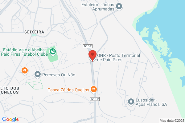 Rute P Marques Gonlves