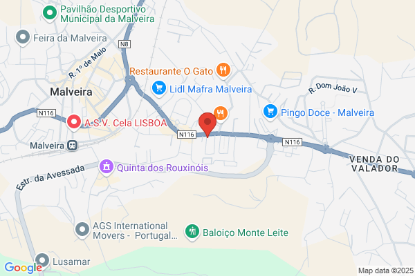 Cvm - Clínica Veterinária Da Malveira