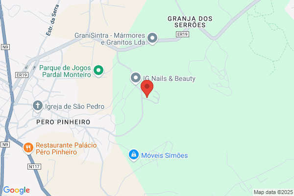 Paulo J G Silvestre Tom