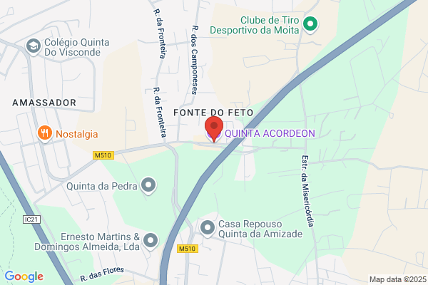 Anto R Fernandes Zorro