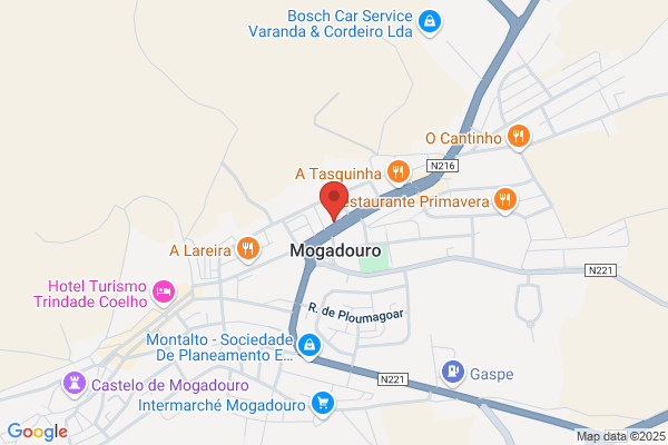 C M V-Consultores. Lda