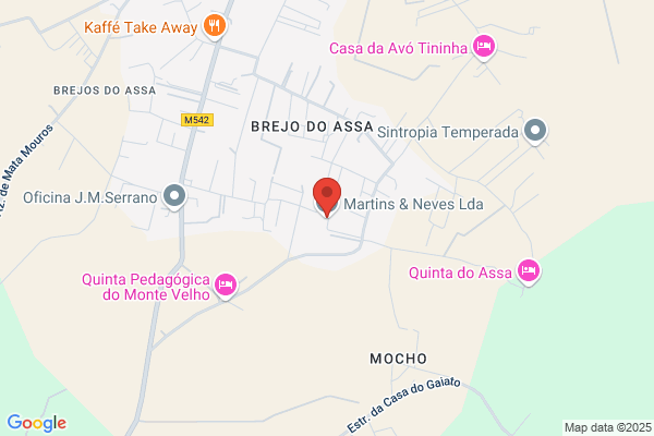 Sadovisão de J. Neves