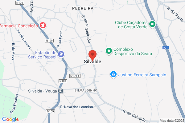Iledio Gonialves Silva