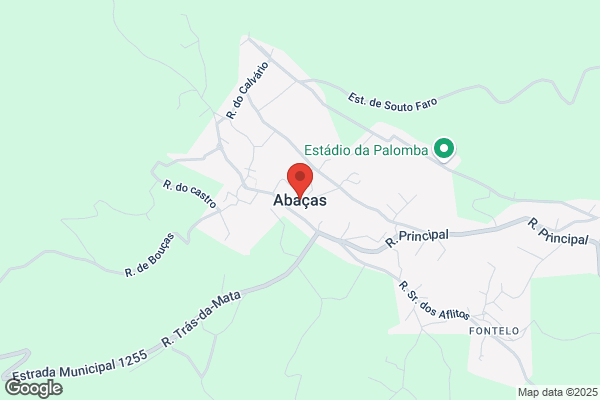 António Pimenta Alves Correia Lda