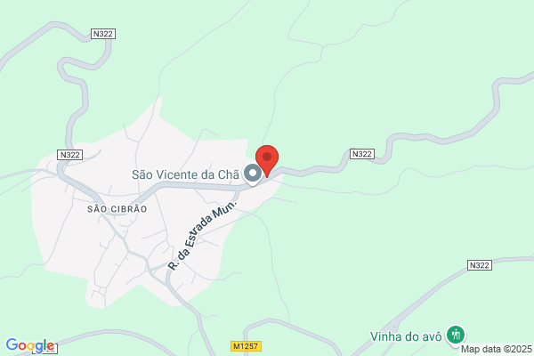 Transportes Amândio Pereira Lda