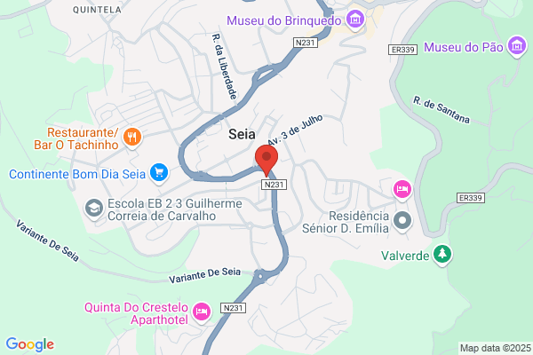 Maria B Lopes Cunha