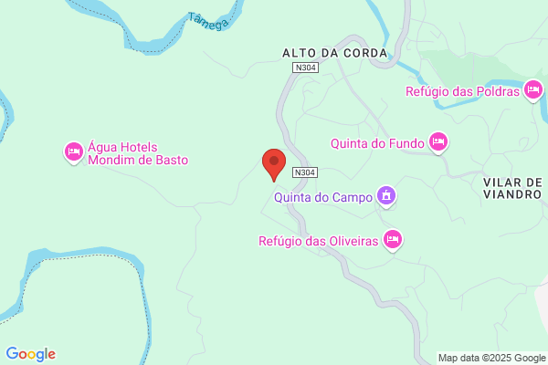 Alzira Gomes Torres