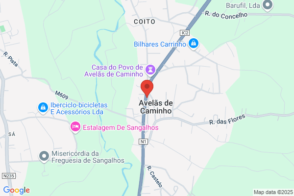 Augusto N Matias Condesso