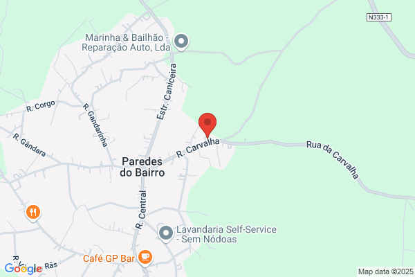Elisabete Ribeiro Santos