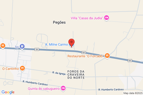 Carmo D Alegria Fernandes