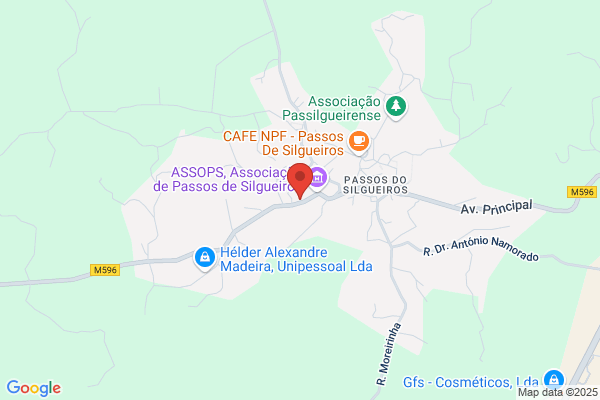 Isabel M C Pessanha Meneses